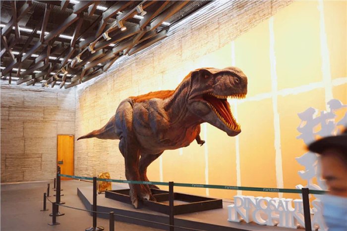 �й���������������� ��������Ժ��չ