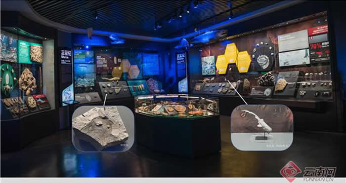 ߽νʯȻŲݣʡȻݣЩ¶