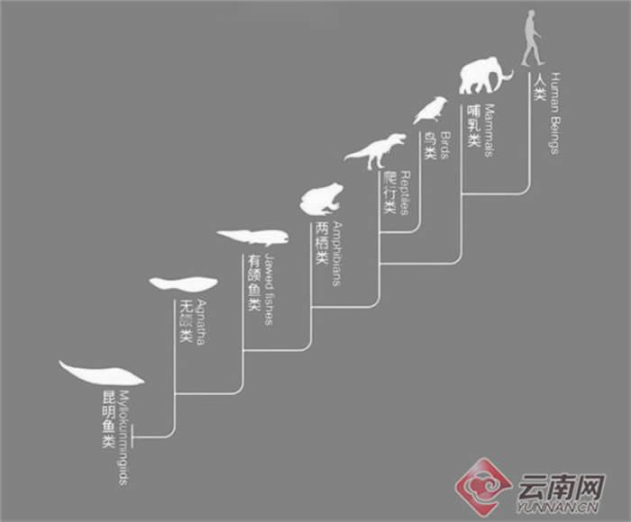 ߽νʯȻŲݣʡȻݣЩ¶