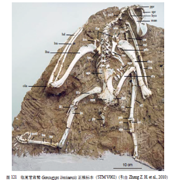 ���й��ż�׵����־������ֲ���ʽ����