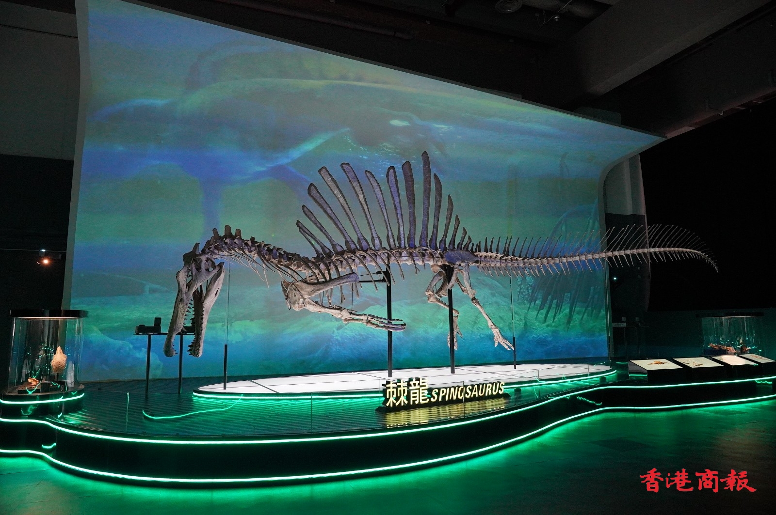 ��ۿ�ѧ��7��8������д��Ϳ���չ��