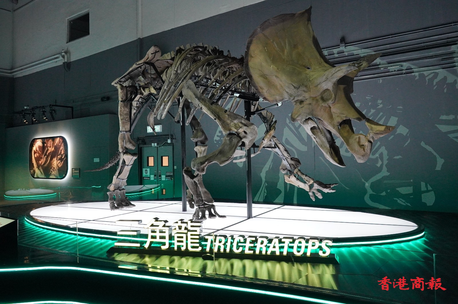 ��ۿ�ѧ��7��8������д��Ϳ���չ��