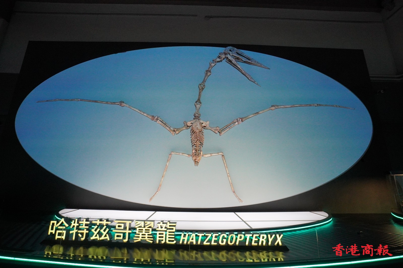 ��ۿ�ѧ��7��8������д��Ϳ���չ��