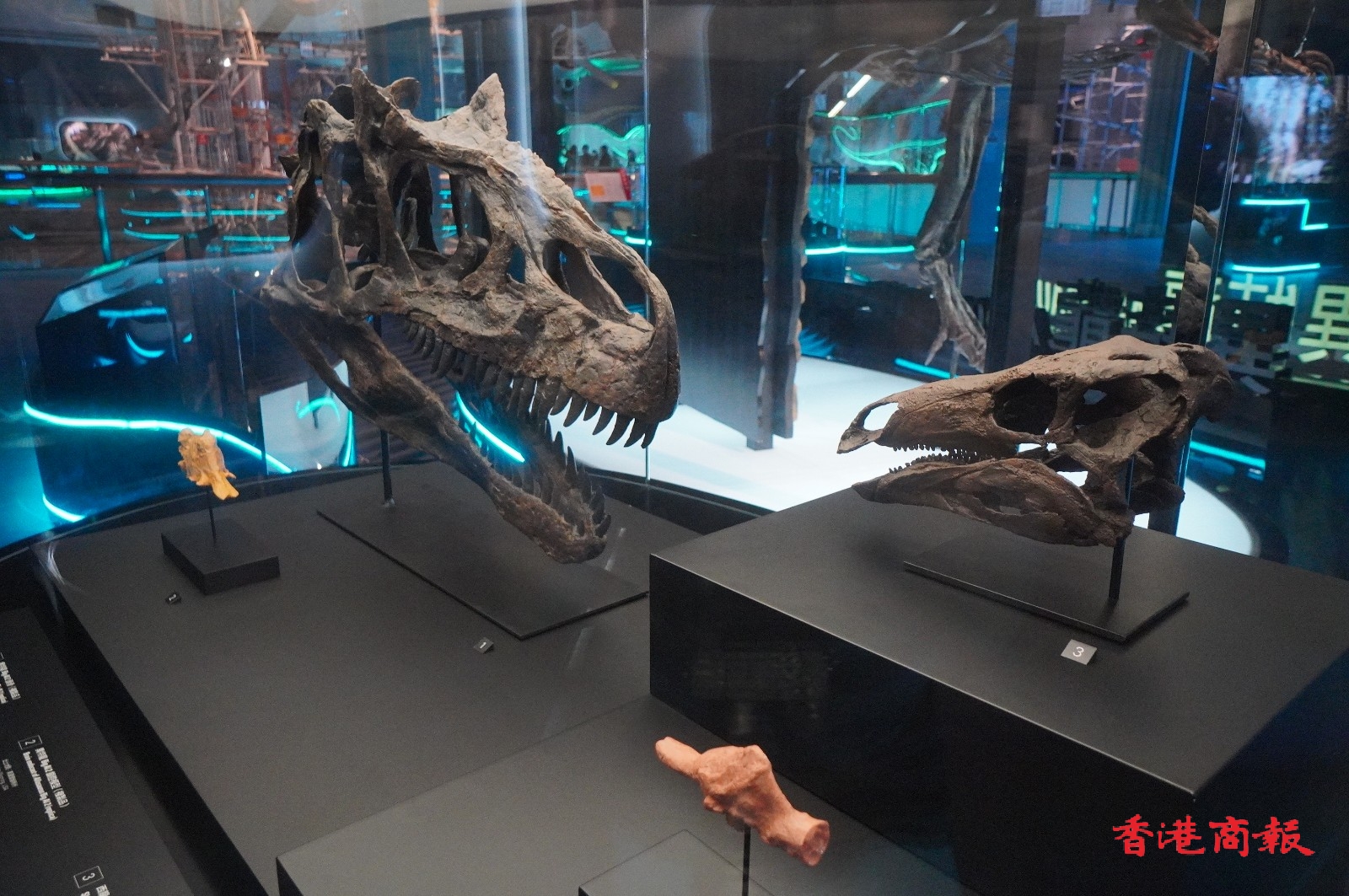 ��ۿ�ѧ��7��8������д��Ϳ���չ��