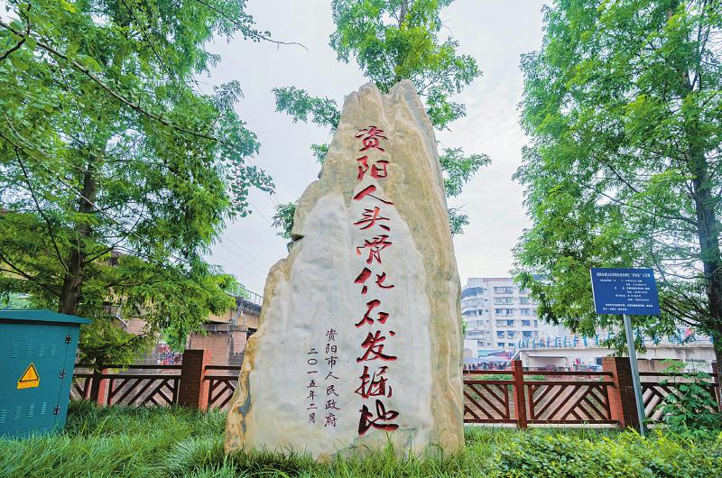 ��·���µġ������ˡ�ͷ�ǻ�ʯ��������Ŀ