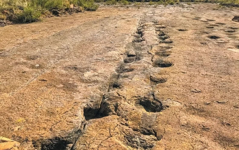 �о����ֿ���������ԭ���ǡ��Գ����ġ�