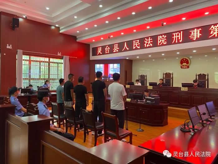 地下“龙骨”属文物 盗挖乱采是犯罪 ——灵台县法院当庭宣判一起盗掘古脊椎动物化石案