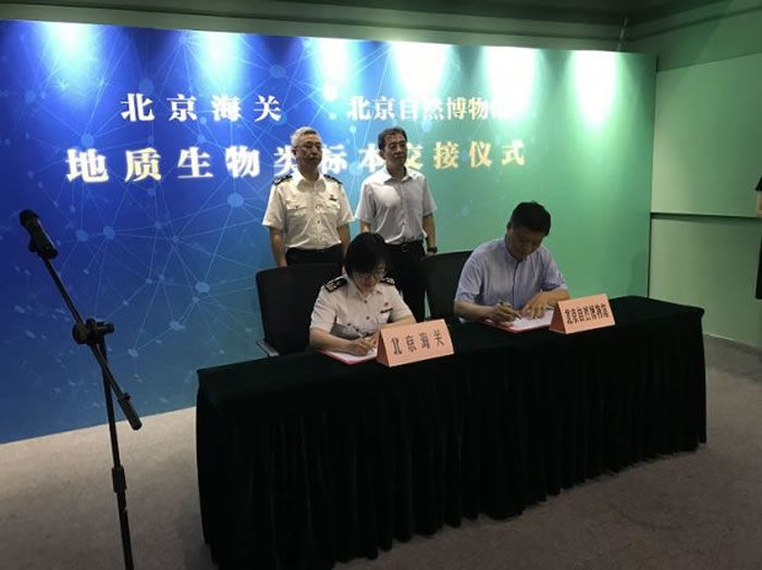 ���������ƽ��������һ����ʯ����������Ʒ