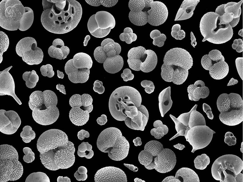 Եп׳ʹýͬλز·½͹ȥ6500¶ȼ¼