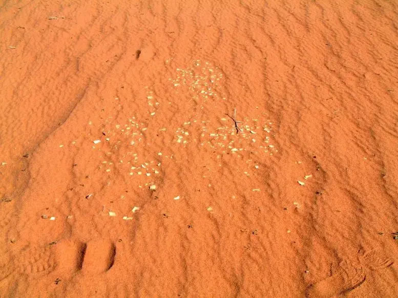 ������İĴ�����ʷǰ�޵����ڡ�ĩ�ն�ħѼ������Ա