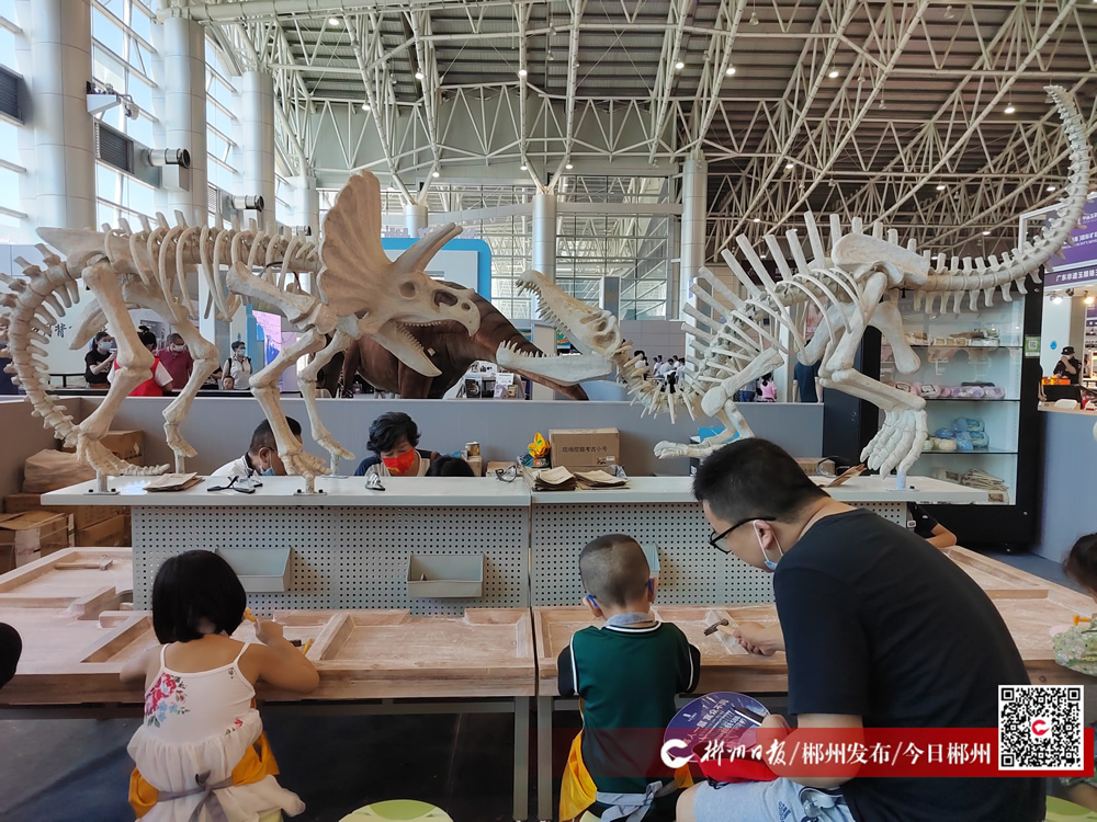 ��ʮ���й������ϣ����ﱦʯ�����ᡰ����֮�á�����̽�ص���