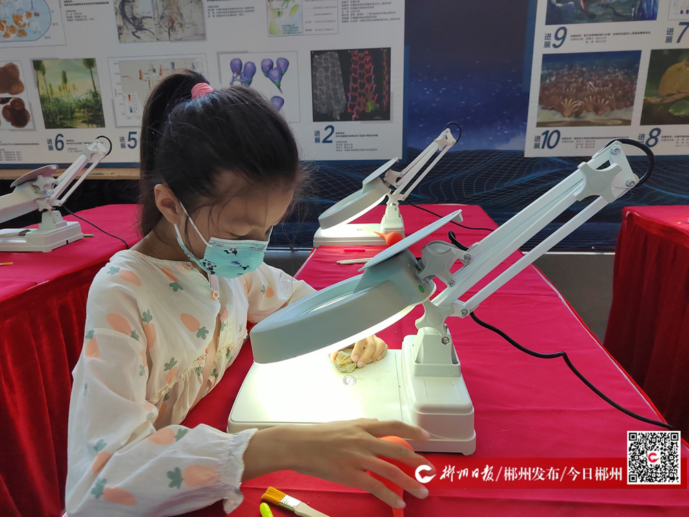 ��ʮ���й������ϣ����ﱦʯ�����ᡰ����֮�á�����̽�ص���