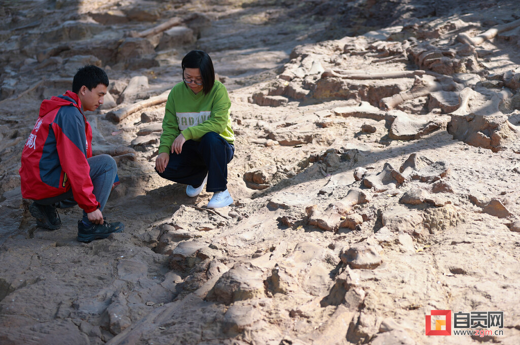 �Թ�����ɽ������ʯȺ�����뱣���о���Ϊ�ؼ����յġ����������𡰱���ɡ��