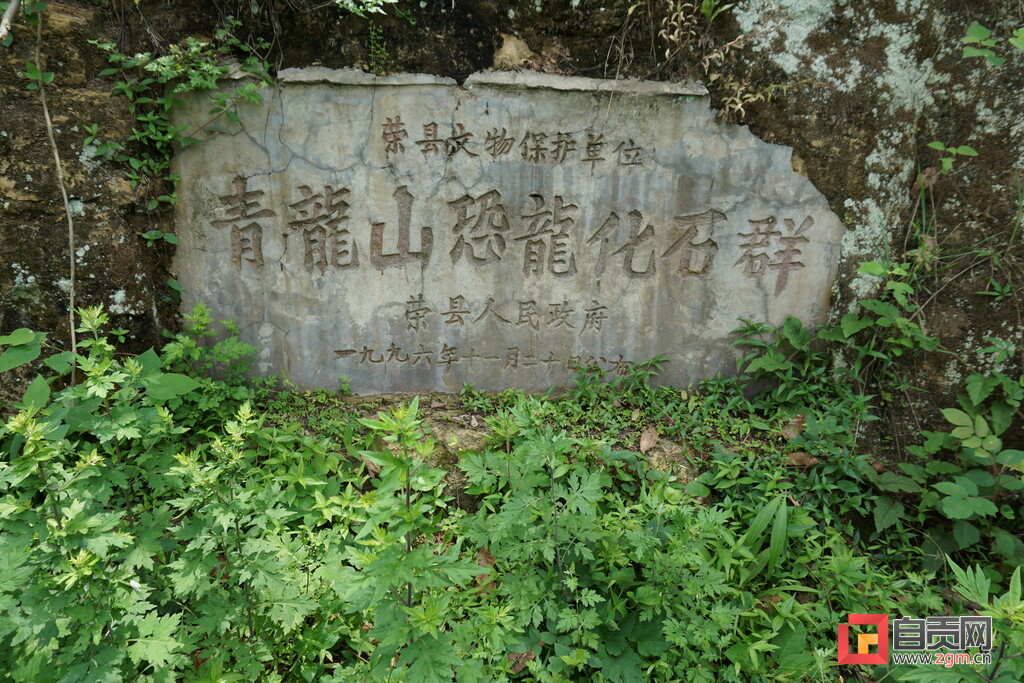 �Թ�����ɽ������ʯȺ�����뱣���о���Ϊ�ؼ����յġ����������𡰱���ɡ��