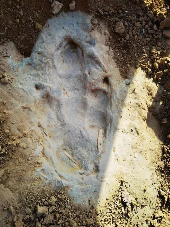 �żҿ���������1.5����ǰ�����㼣��ʯȺ