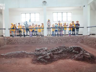 暑期到博物馆跟古生物学家一起寻找恐龙的足迹