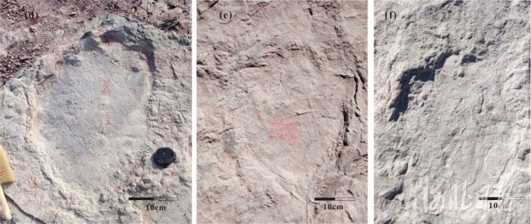 ׷Ѱ���Դ���ϵġ������� �żҿ��������ֹ��ڵ����������������Ŀ����㼣��ʯ