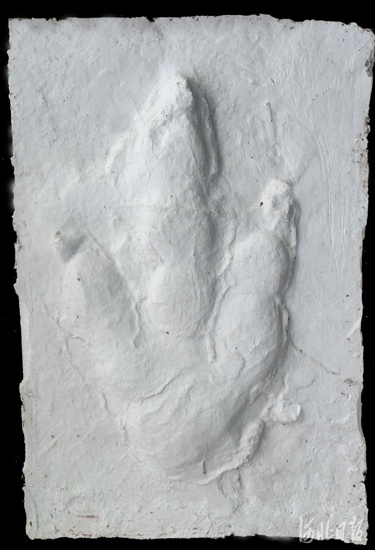 ׷Ѱ���Դ���ϵġ������� �żҿ��������ֹ��ڵ����������������Ŀ����㼣��ʯ