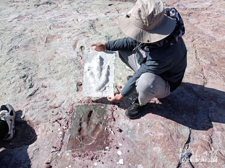 ׷Ѱ���Դ���ϵġ������� �żҿ��������ֹ��ڵ����������������Ŀ����㼣��ʯ