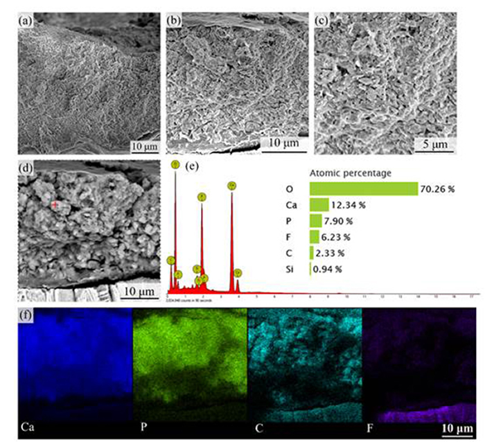 �Թ�����������ʯ���е��о����ְ�ɫ���ǵ���Ҫ�ɷ��Ƿ��׻�ʯ