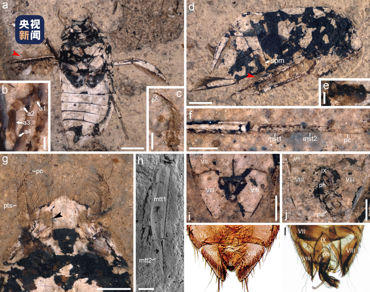 �о����ֿ����������ص�Я����Ϊ ����������Ϊ��ֱ��֤����ǰ��4000����