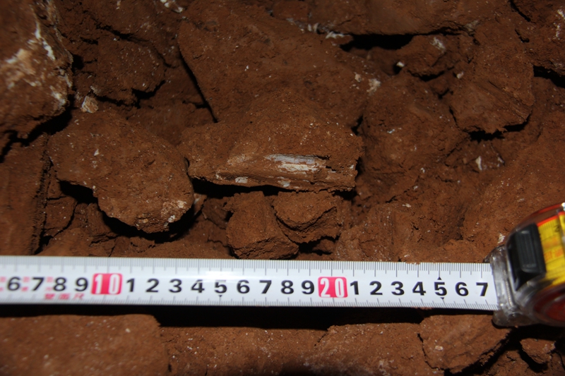 ���������˯�������Ͽ��������ɽ��������˵��ڡ����ǡ�525.2����