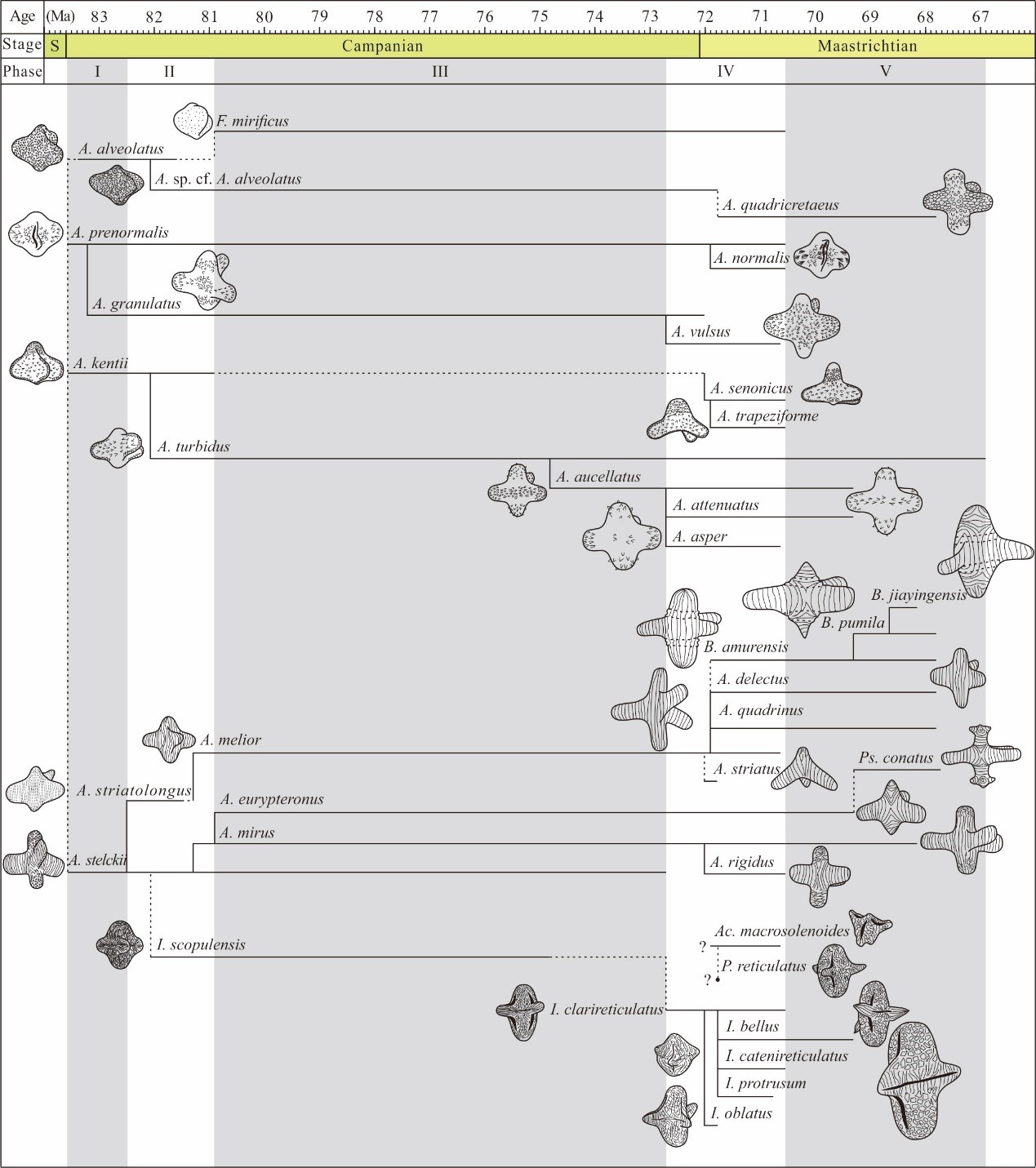 《白垩纪研究》:晚白垩世三突起类花粉研究取得系统性进展