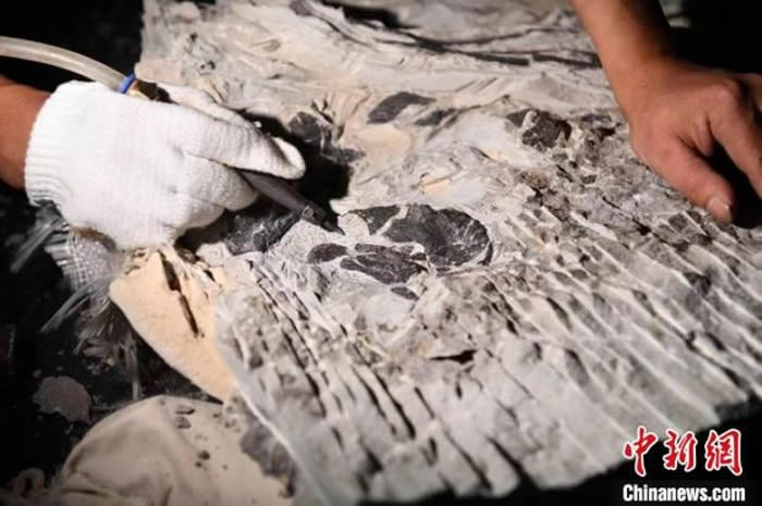 ʯҽ޸޵һϴϪʯ 㣩