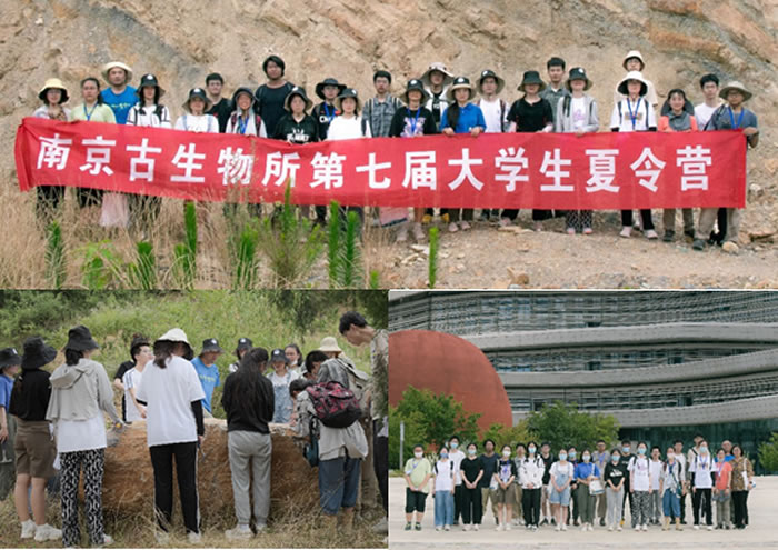 �Ͼ����������ٰ���߽��ѧ������������Ӫ