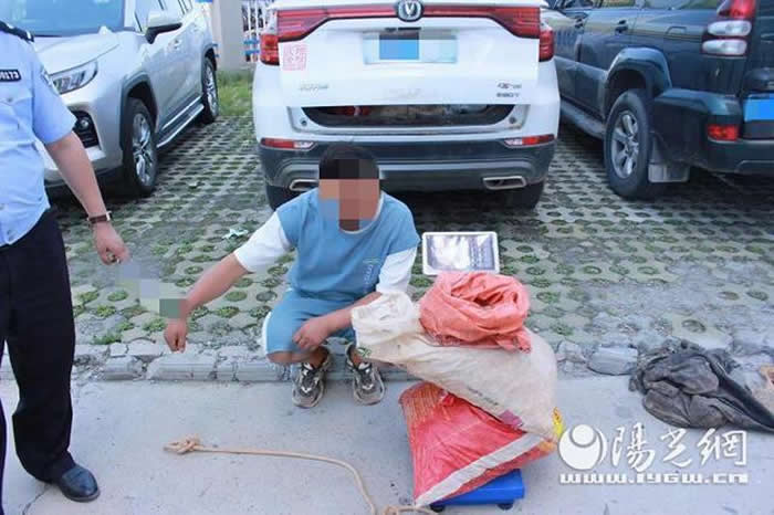 ־���ع����������ƻ��������ż�׵���ﻯʯ��