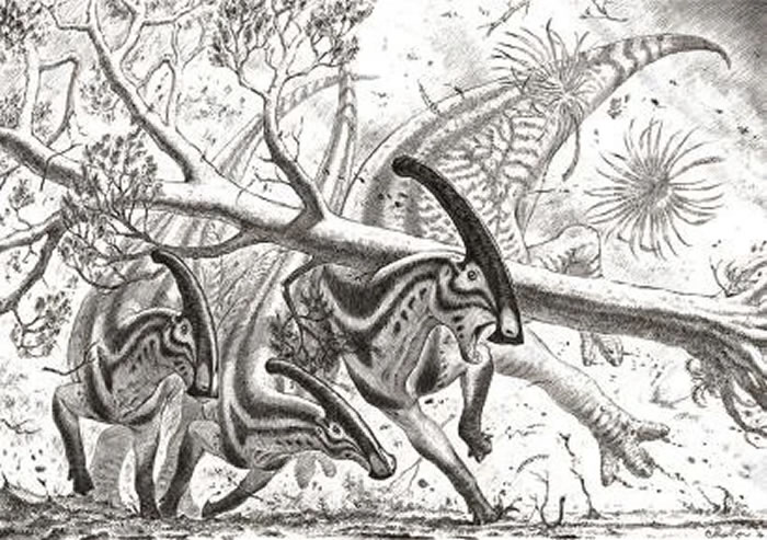 һ�θ�ð�ͻ��������������ʱ����ҽԺ����Щ��������֡�