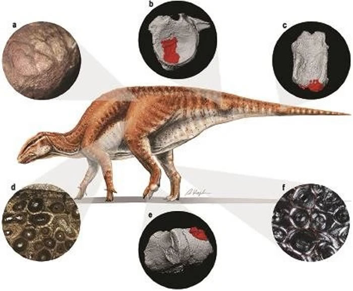 һ�θ�ð�ͻ��������������ʱ����ҽԺ����Щ��������֡�