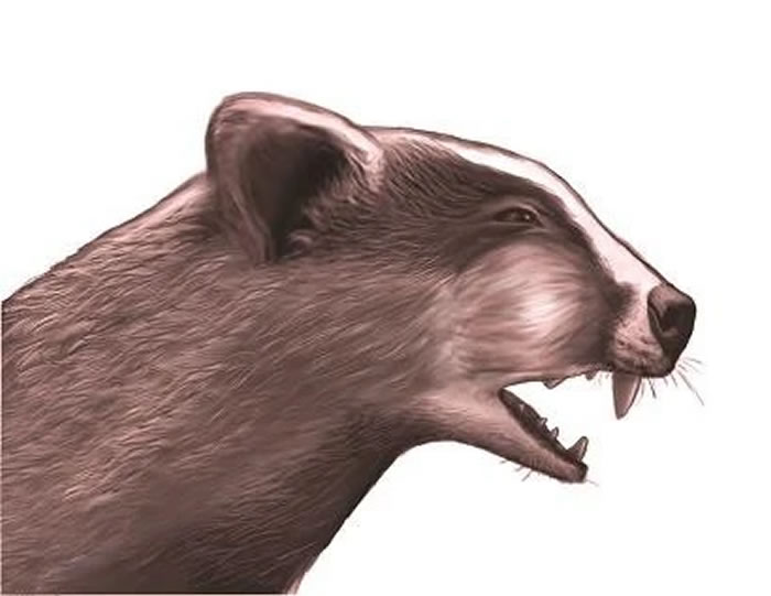 һ�θ�ð�ͻ��������������ʱ����ҽԺ����Щ��������֡�