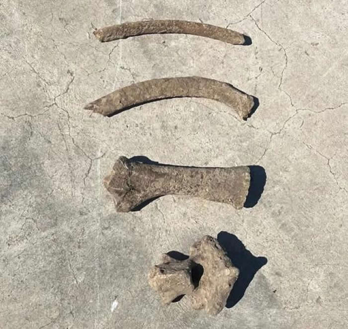 ���ױ߾��ɳ���Ͻ������4�����ƹ����ﻯʯ