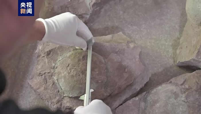 �㽭�����ڹ��ؿ��ڻ�ʱ����60����������ʯ �Ƿ�������ץ��