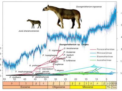 ��Ϭ�����ݻ������򻷾��Ĺ�ϵ �ż�׵����ͼ