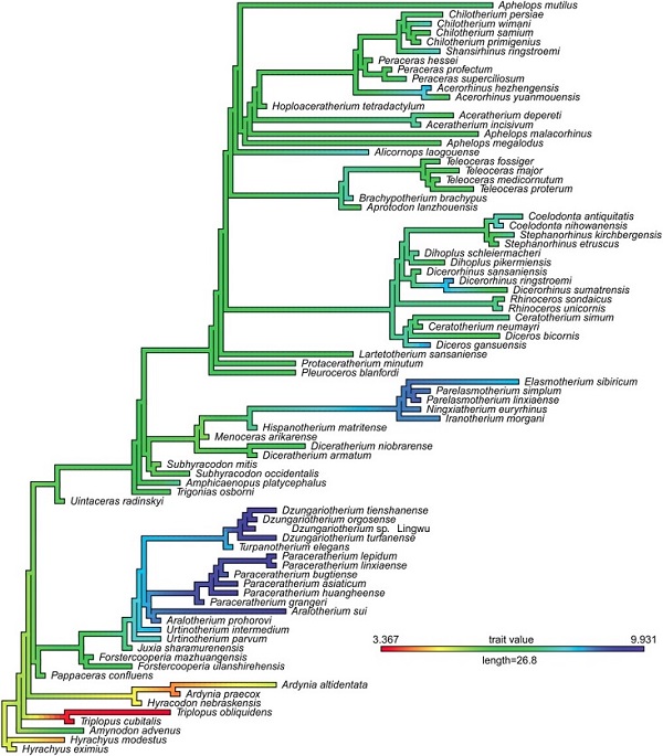 Ϭ���Ƶ������ݻ� �ż�׵����ͼ