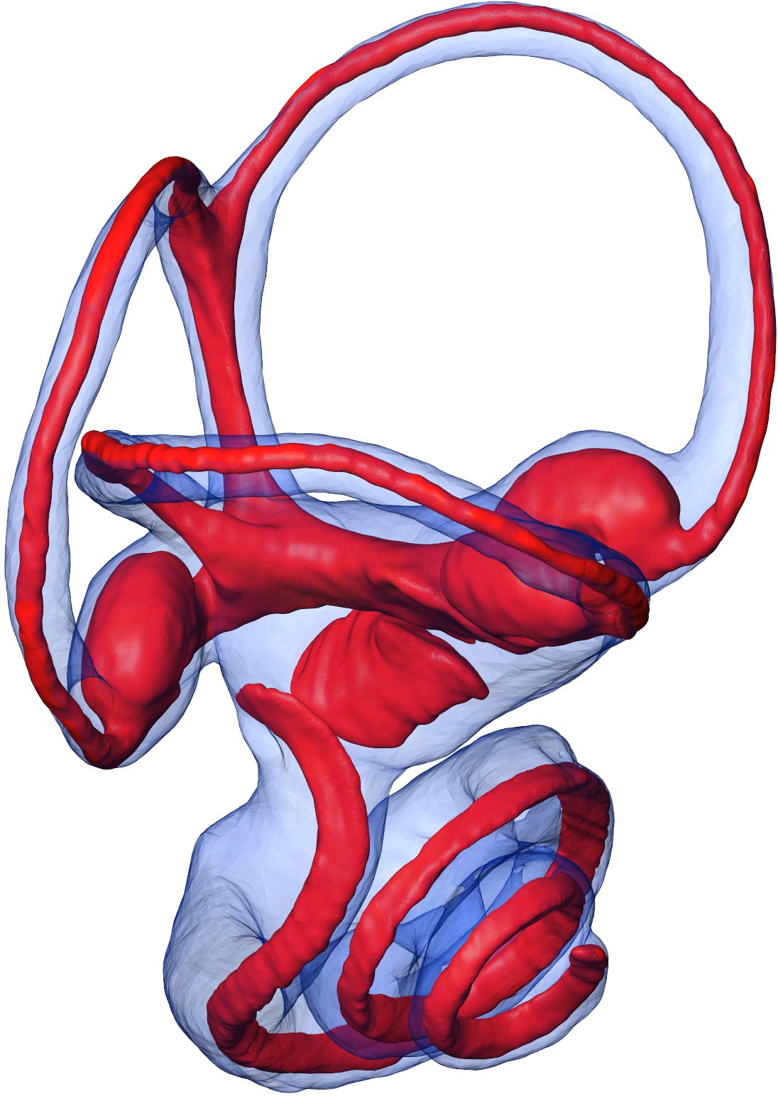 ����Ȼ����־���ڶ�������ѧ��ʾ�˲��鶯�����µ�����������Դ