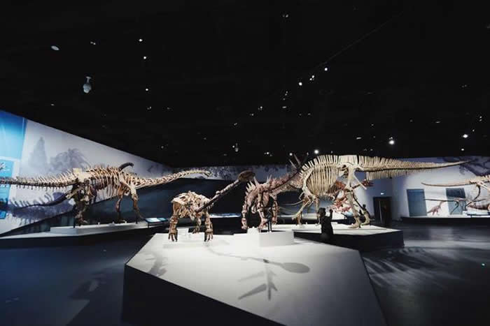 成都自然博物馆三大镇馆之宝抢先看！看恐龙、观察昆虫、研究矿石……