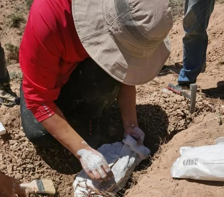 �½���Ȫ�ط��ֵĲ��鶯�ﻯʯ�ǰ˰�����ǰ����ֺ������Ⱥ