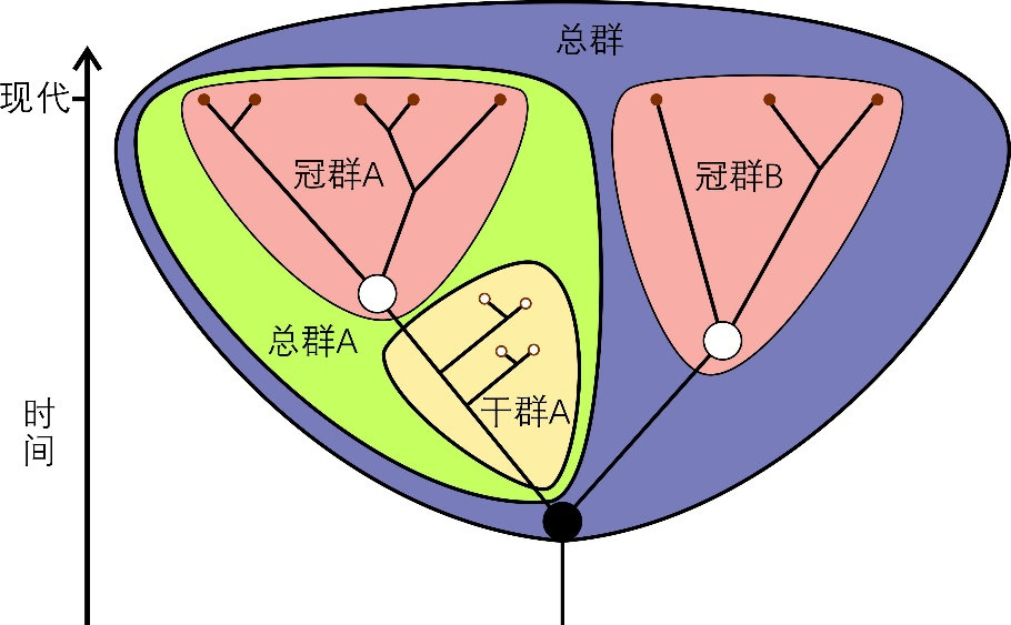 ���ϳ棬�����ǲ��Ǽ�׵���