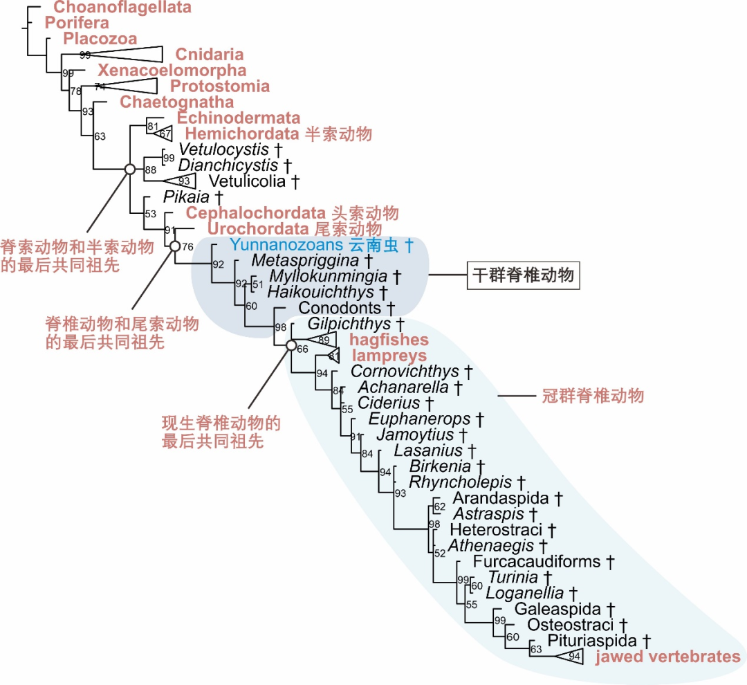 ���ϳ棬�����ǲ��Ǽ�׵���