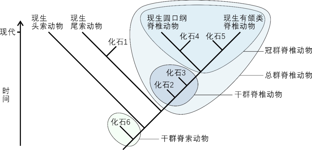 ���ϳ棬�����ǲ��Ǽ�׵���