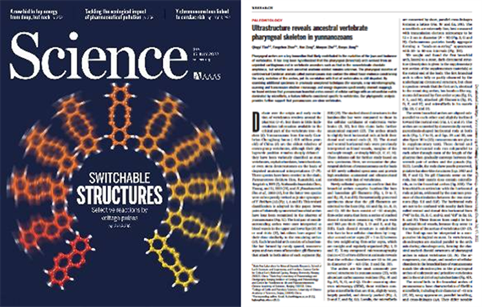 ���ϳ棬�����ǲ��Ǽ�׵���