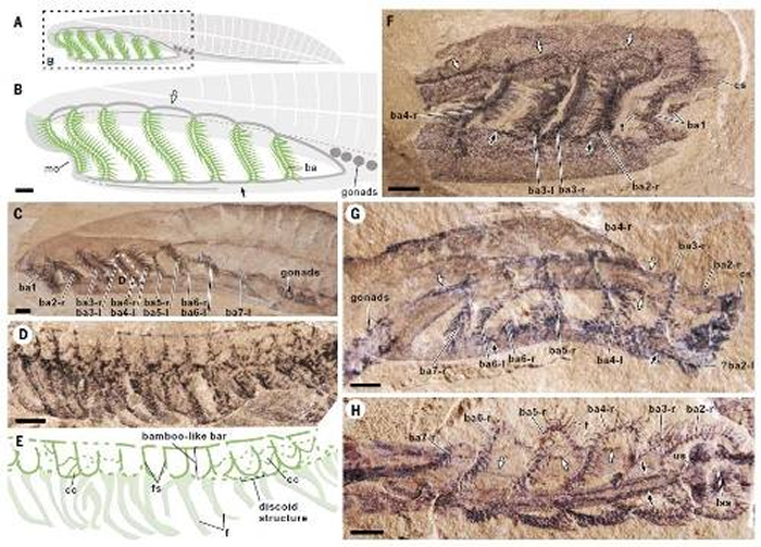 ���ϳ棬�����ǲ��Ǽ�׵���