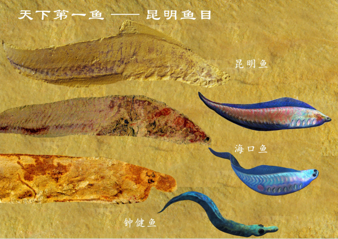 ���ϳ棬�����ǲ��Ǽ�׵���