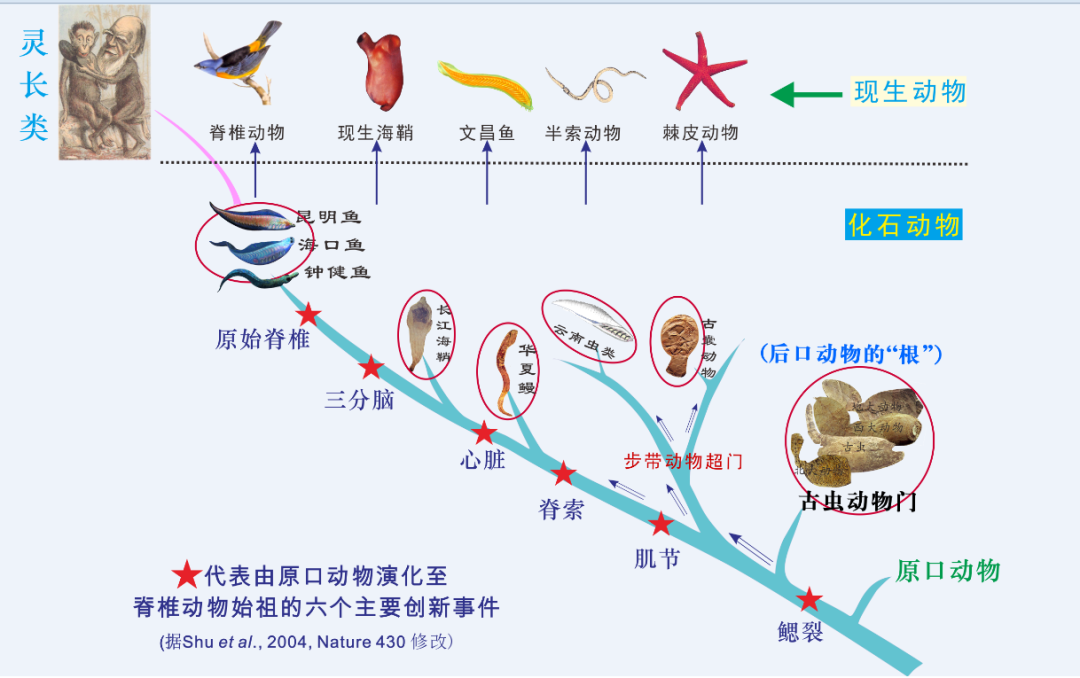 ���ϳ棬�����ǲ��Ǽ�׵���