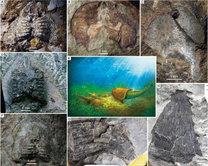 �����໯ʯ֤��ӡ֤4.38����ǰ�ҹ��������������ڹź��󡪡����Ӻ�