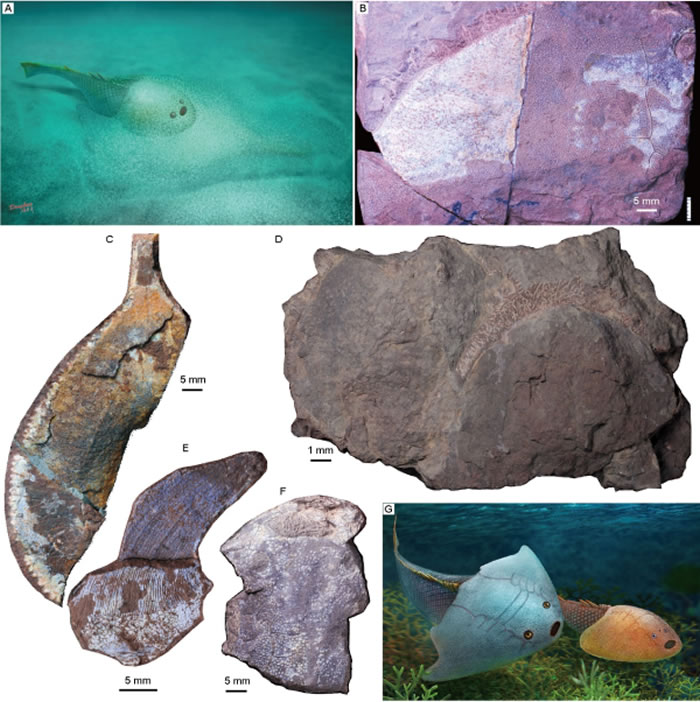 �����໯ʯ֤��ӡ֤4.38����ǰ�ҹ��������������ڹź��󡪡����Ӻ�