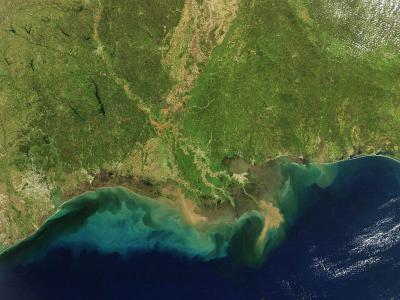 研究展示墨西哥湾是如何在5600万年前的史前大灭绝中幸存下来